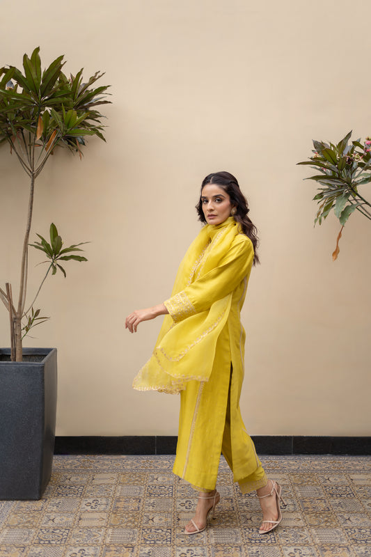 Lime Green Chanderi mukaish kali kurta with pants and organza dupatta.