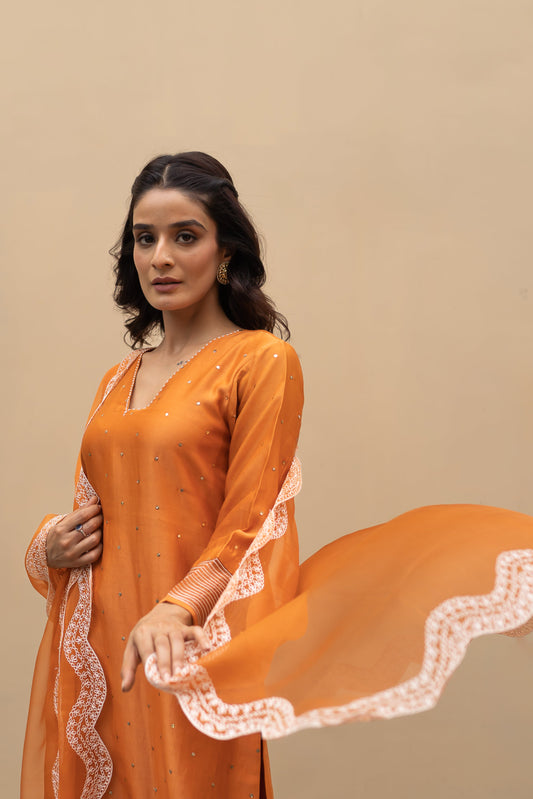 Burnt Orange chanderi Mukaish kurta with aari work on pants and dupatta.