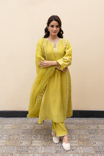 Olive green double kali kurta with mukaish kalis